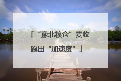 “豫北粮仓”麦收跑出“加速度”